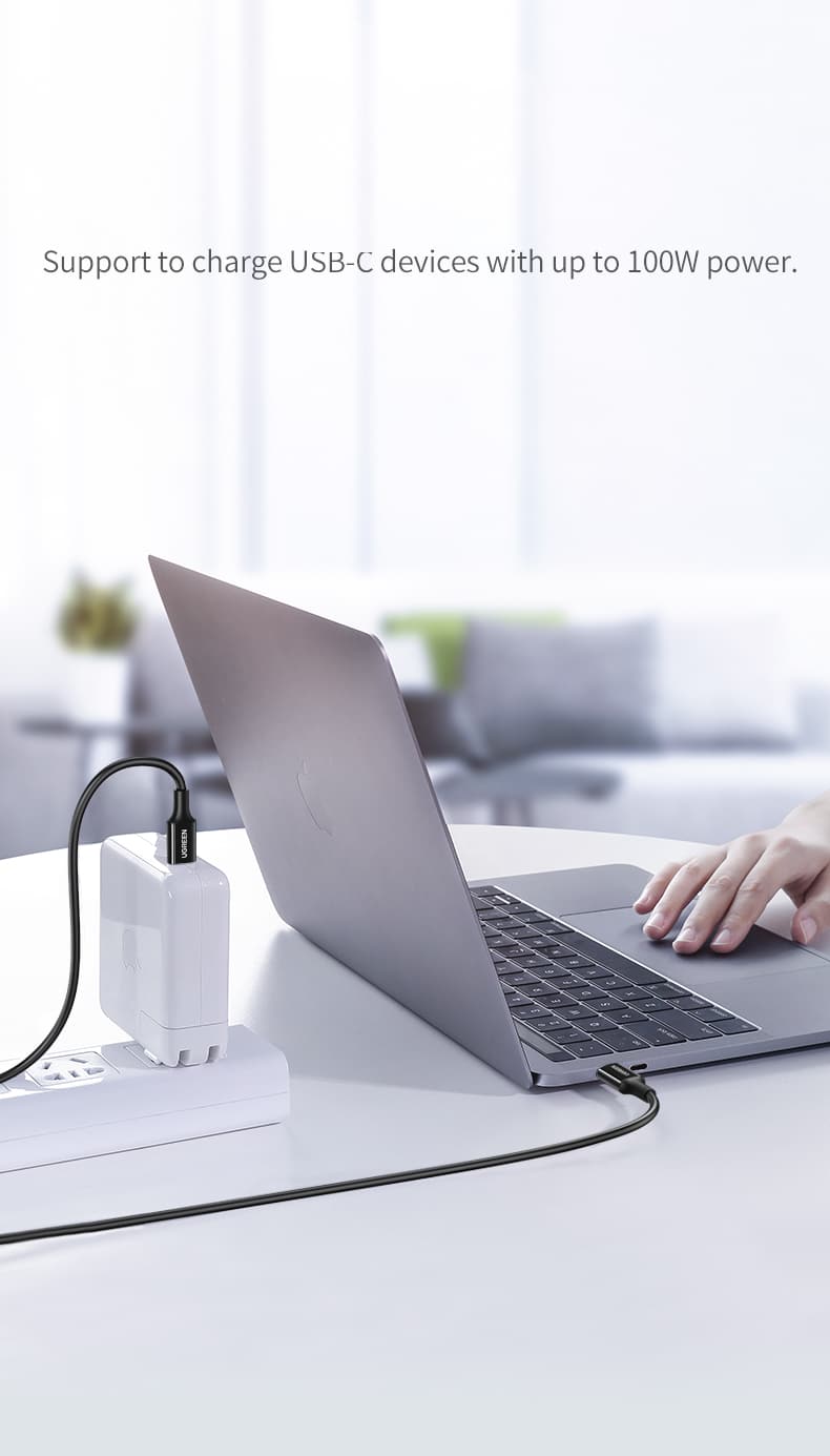 Ugreen USB-C 2.0 Kabel 5A 100W 2m